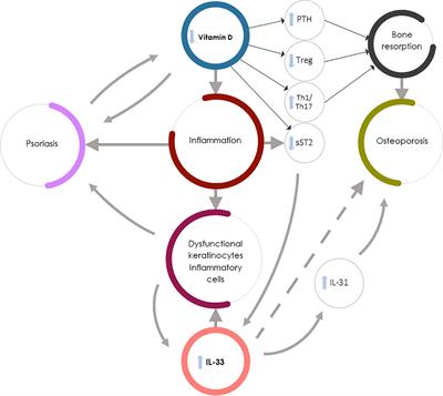 IL-33/Vitamin D Crosstalk in Psoriasis-Associated Osteoporosis